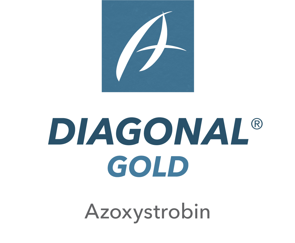 Diagonal® Gold