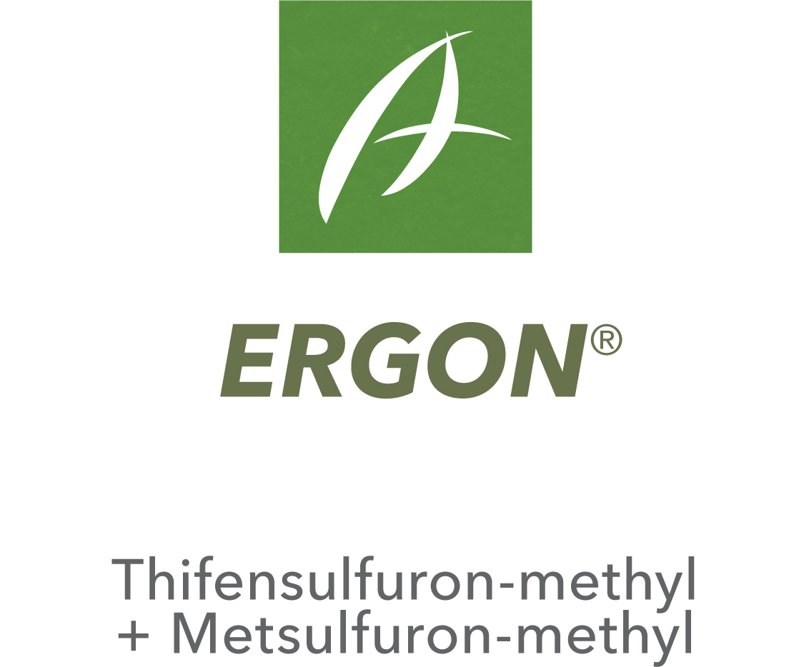 Ergon®