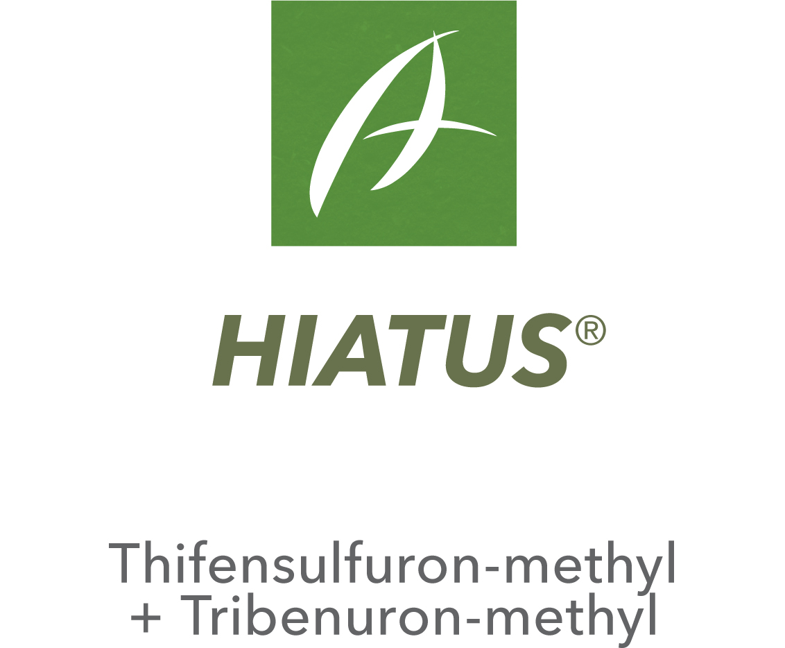 Hiatus®