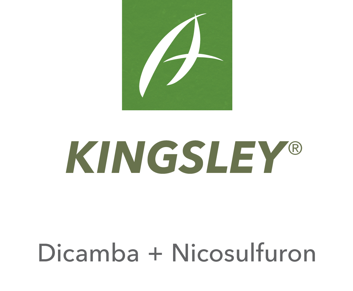 Kingsley®