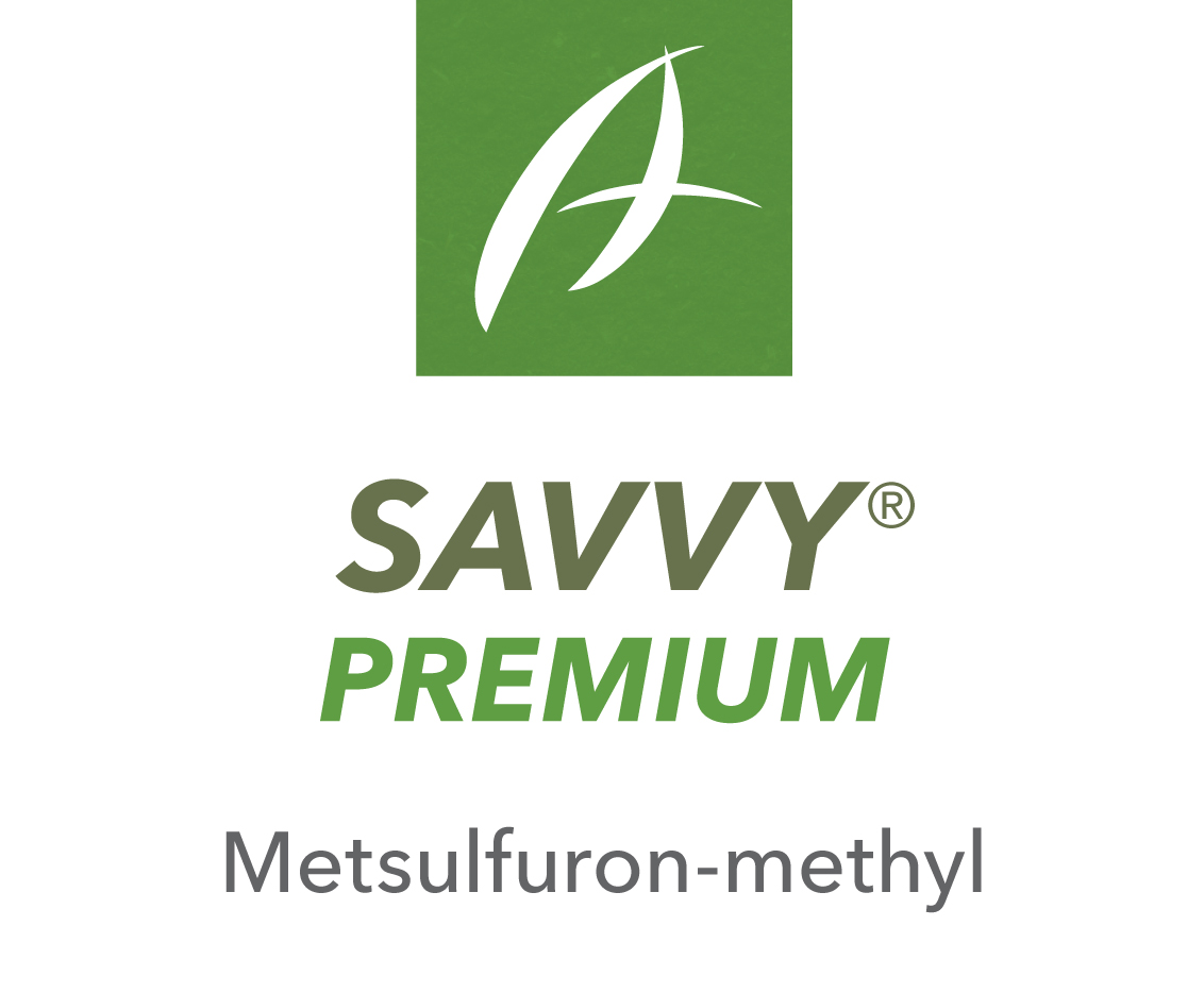 Savvy® Premium