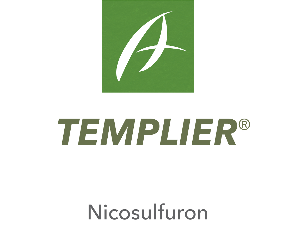 Templier®