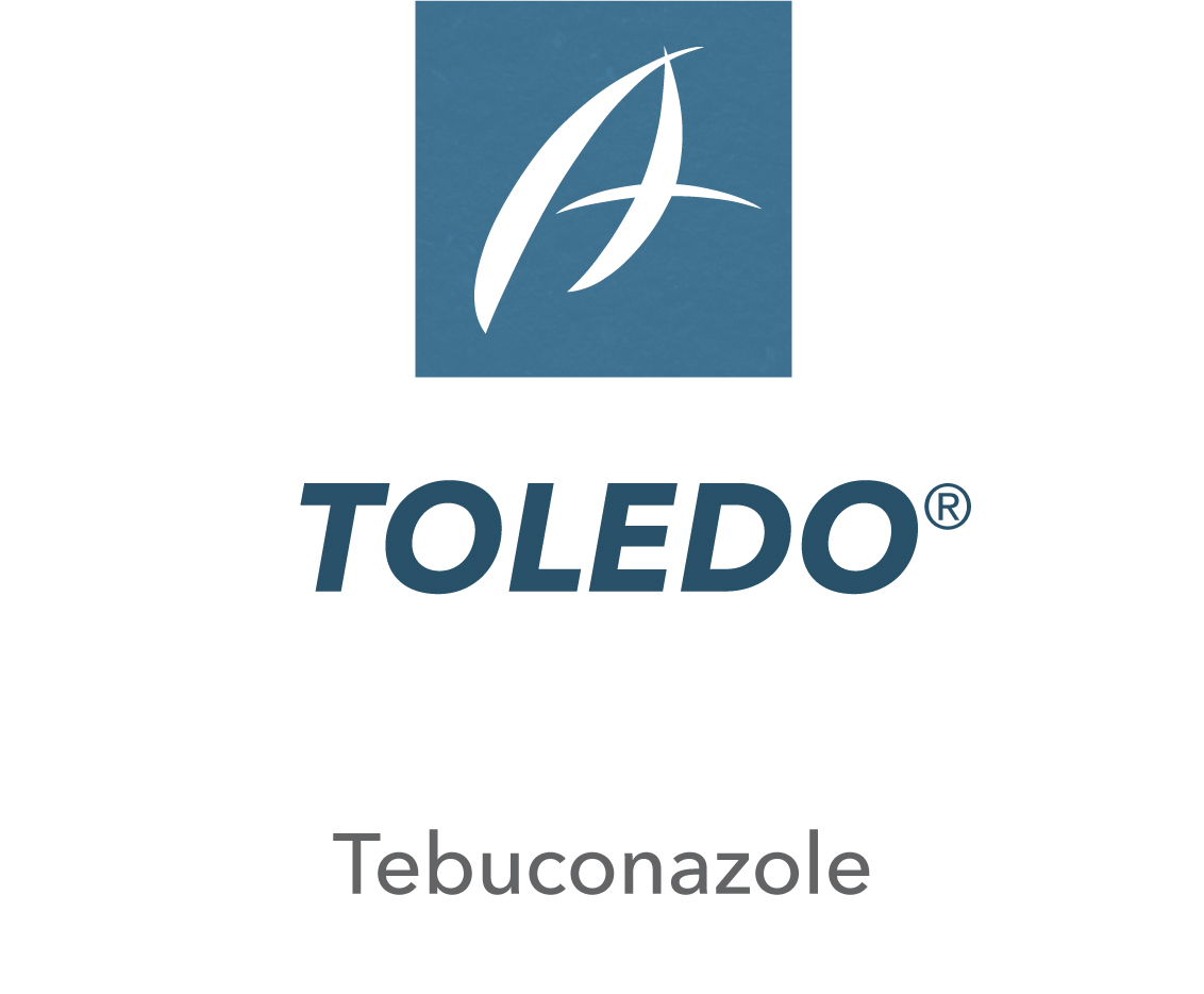 Toledo®