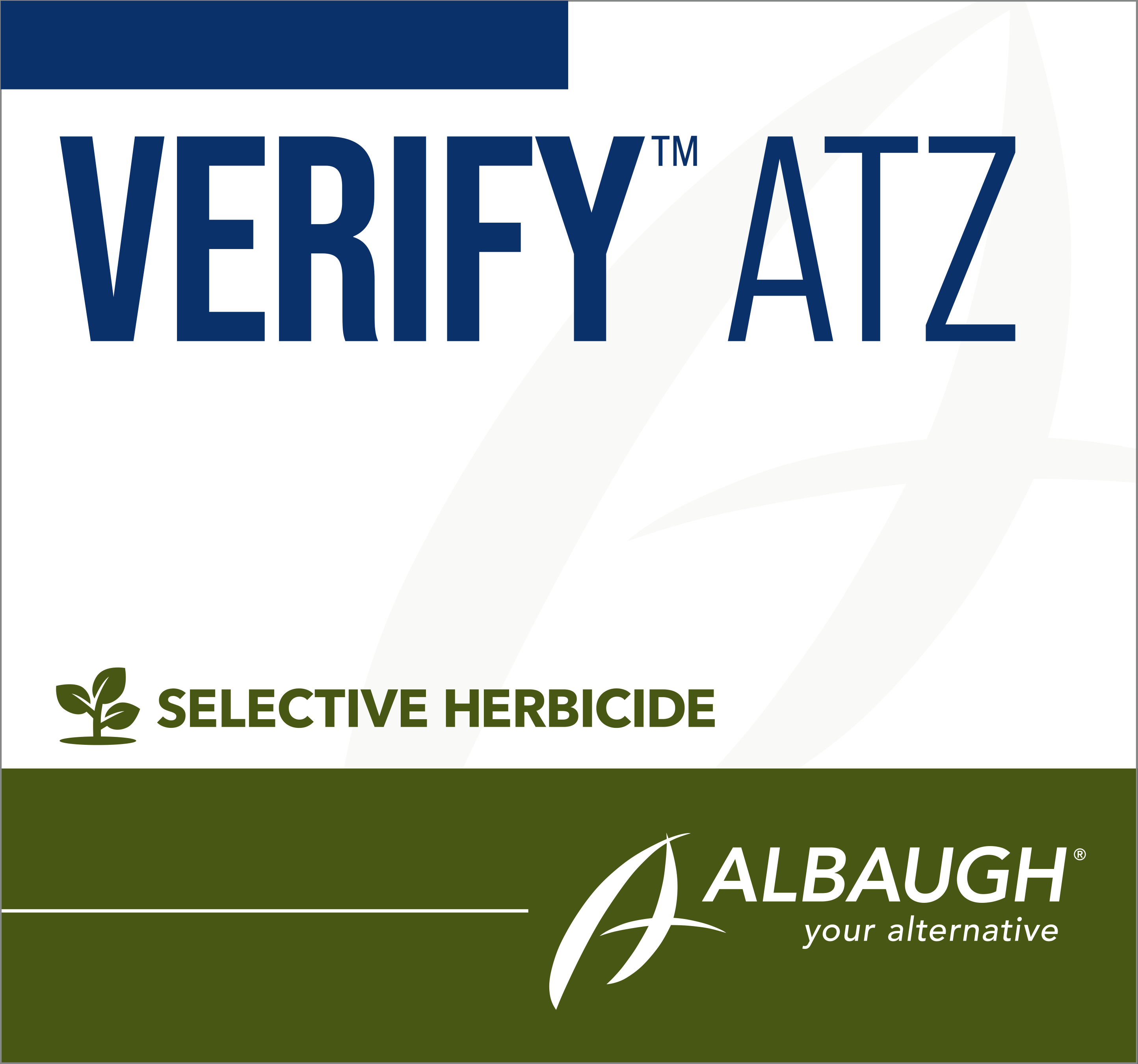 Verify ATZ