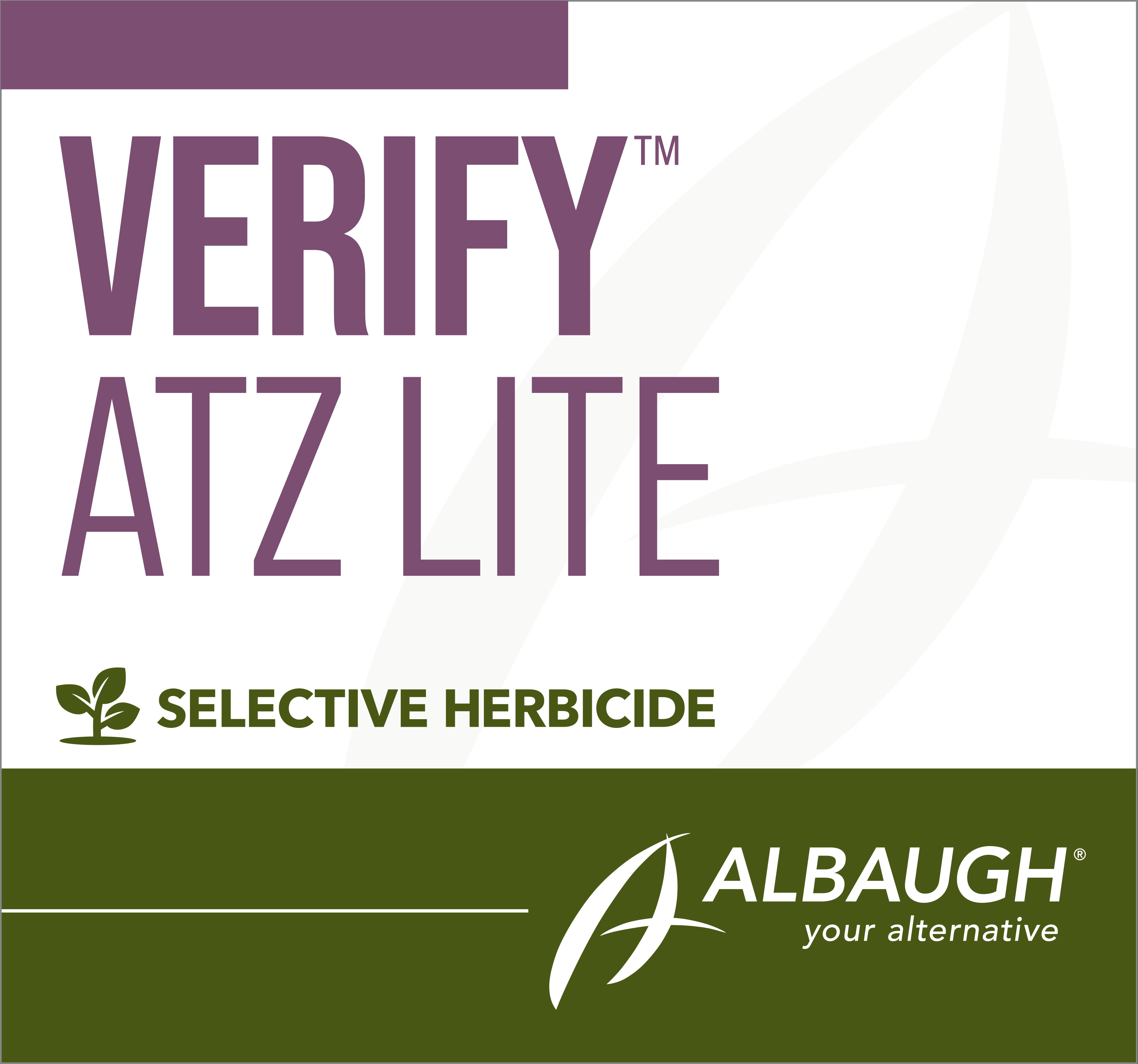 Verify ATZ Lite