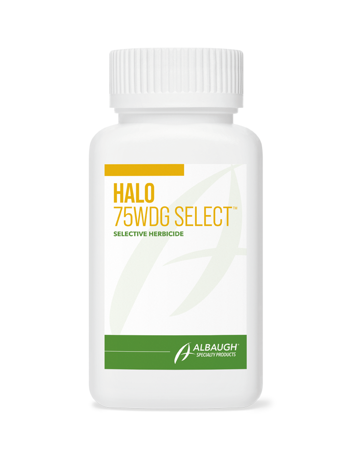 Halo 75WDG Select™