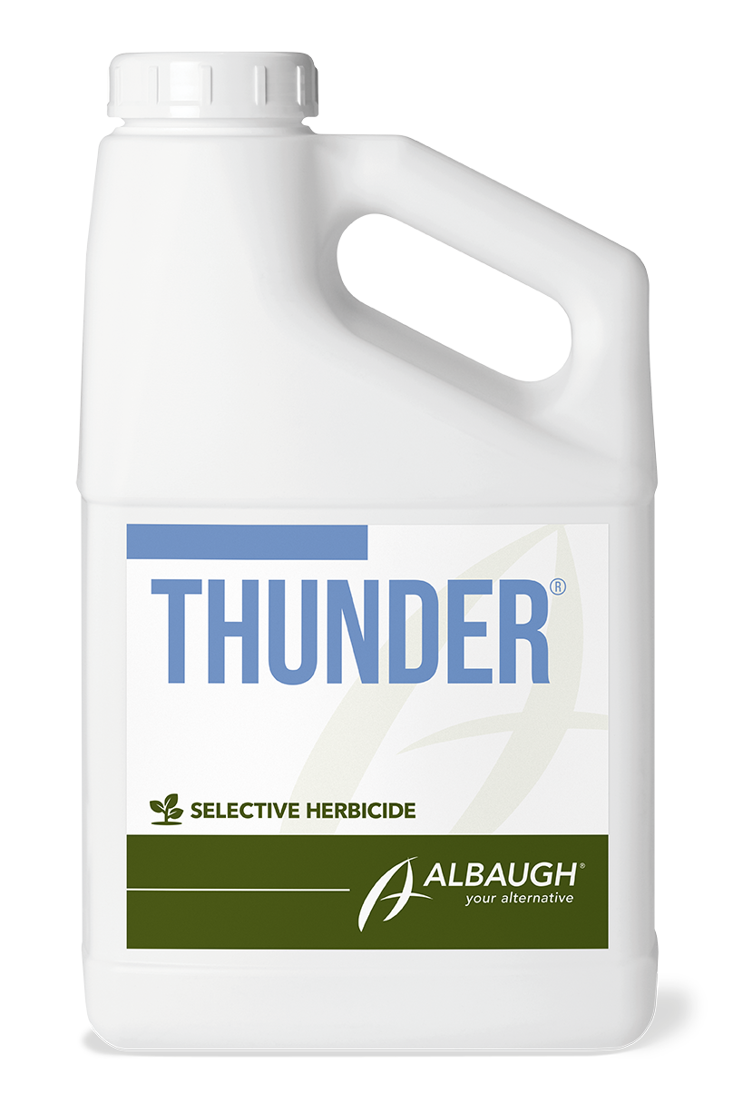 Thunder®