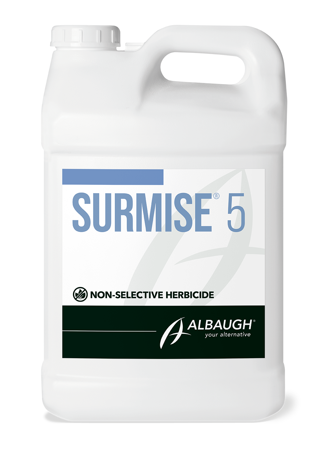 Surmise® 5