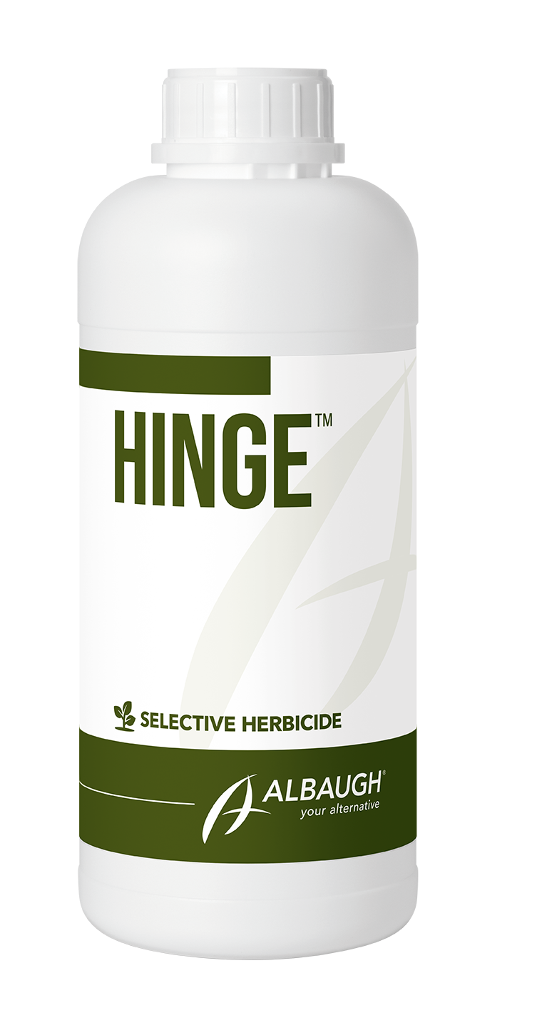 Hinge®